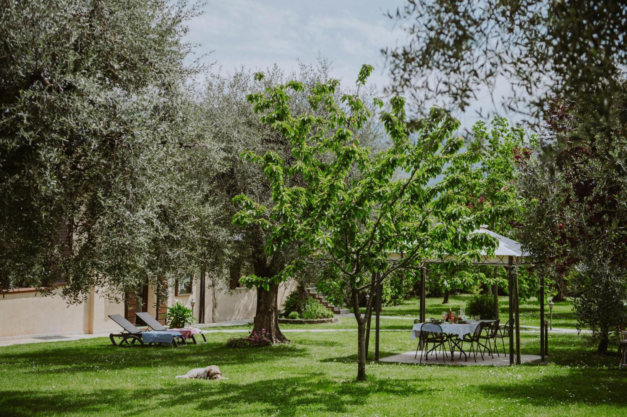 Apartmán Campolivo Gargnano Exteriér fotografie